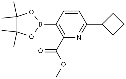 methyl 6-cyclobutyl-3-(4,4,5,5-tetramethyl-1,3,2-dioxaborolan-2-yl)picolinate Struktur