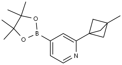 2-(3-methylbicyclo[1.1.1]pentan-1-yl)-4-(4,4,5,5-tetramethyl-1,3,2-dioxaborolan-2-yl)pyridine Struktur