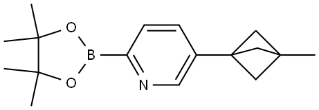 5-(3-methylbicyclo[1.1.1]pentan-1-yl)-2-(4,4,5,5-tetramethyl-1,3,2-dioxaborolan-2-yl)pyridine Struktur