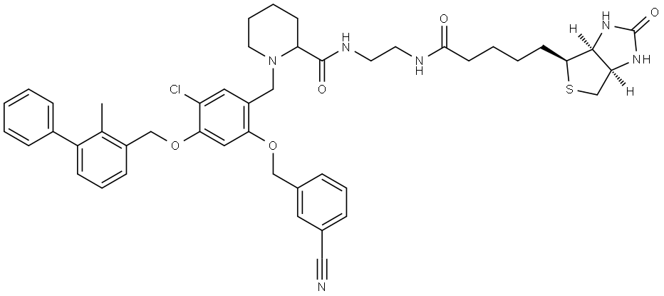 ZSWIM7 Struktur