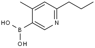 (4-methyl-6-propylpyridin-3-yl)boronic acid Struktur