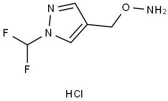 Hydroxylamine, O-[[1-(difluoromethyl)-1H-pyrazol-4-yl]methyl]-, hydrochloride (1:1) Struktur