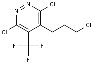 Pyridazine, 3,6-dichloro-4-(3-chloropropyl)-5-(trifluoromethyl)- Struktur