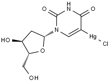 5-chloromercurio-2-'-deoxyuridine