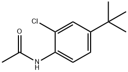 N-(4-TERT-BUTYL-2-CHLOROPHENYL)ACETAMIDE Struktur