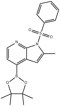 1H-PYRROLO[2,3-B]PYRIDINE, 2-METHYL-1-(PHENYLSULFONYL)-4-(4,4,5,5-TETRAMETHYL-1,3,2-DIOXABOROLAN-2-YL)- Struktur