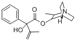 alpha-Isopropenylmandelic acid 2-methyl-3-quinuclidinyl ester Struktur