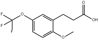 3-[2-METHOXY-5-(TRIFLUOROMETHOXY)PHENYL]PROPIONIC ACID Struktur