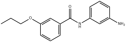 N-(3-Aminophenyl)-3-propoxybenzamide Struktur