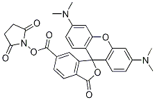 3',6'-Bis(diMethylaMino)-3-oxospiro[isobenzofuran-1(3H),9'-[9H]xanthene]-6-carboxylic Acid 2,5-Dioxo-1-pyrrolidinyl Ester Struktur