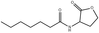 N-HEPTANOYL-DL-HOMOSERINE LACTONE Struktur