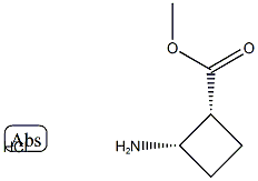 Methyl cis-2-aminocyclobutane-1-carboxylate hydrochloride Struktur