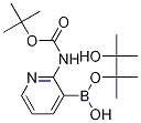 2-(BOC-AMINO)PYRIDINE-3-BORONIC ACID PINACOL ESTER Struktur