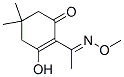 2-(1-(methoxyimino)ethyl)-5,5-dimethyl-3-hydroxycyclohex-2-en-1-one Struktur