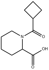 1-(Cyclobutylcarbonyl)-2-piperidinecarboxylic acid Struktur