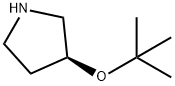 (S)-4-tert-butoxypyrrolidine Struktur