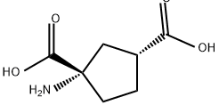 TRANS-(1S 3R)-ACPD Struktur