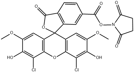 6-JOE SE Struktur