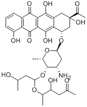 SN 706 Struktur