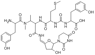 MureidomycinB Struktur