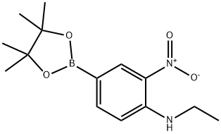 4-Ethylamino-3-nitrophenylboronic acid,pinacol ester Struktur