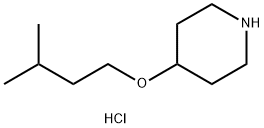 4-(ISOPENTYLOXY)PIPERIDINE HYDROCHLORIDE Struktur