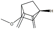 Bicyclo[2.2.1]heptane, 5-methoxy-2,3-bis(methylene)-, (1R-exo)- (9CI) Struktur