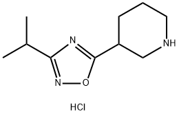 3-(3-isopropyl-1,2,4-oxadiazol-5-yl)piperidine hydrochloride Struktur