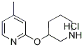 4-Methyl-2-(piperidin-3-yloxy)-pyridine hydrochloride, 98+% C11H17ClN2O, MW: 228.72 Struktur