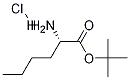 Norleucine tert-butyl ester hydrochloride Struktur