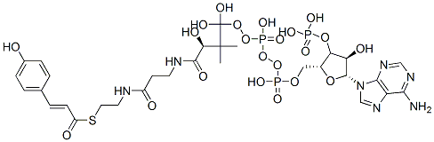 p-クマロイルCoA 化學(xué)構(gòu)造式