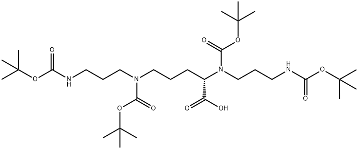 BOC4-SPER-CO2H Struktur