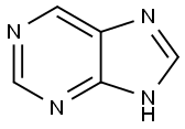 Purin