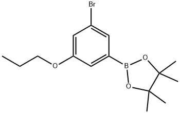 2-(3-Bromo-5-propoxyphenyl)-4,4,5,5-tetramethyl-1,3,2-dioxaborolane|3-BROMO-5-PROPOXYPHENYLBORONIC ACID, PINACOL ESTER