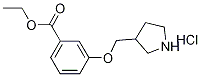 Ethyl 3-(3-pyrrolidinylmethoxy)benzoatehydrochloride Struktur