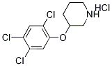 3-(2,4,5-Trichlorophenoxy)piperidine hydrochloride Struktur