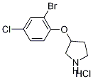 3-(2-Bromo-4-chlorophenoxy)pyrrolidinehydrochloride Struktur