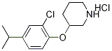 3-(2-Chloro-4-isopropylphenoxy)piperidinehydrochloride Struktur