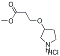 Methyl 3-(3-pyrrolidinyloxy)propanoatehydrochloride Struktur