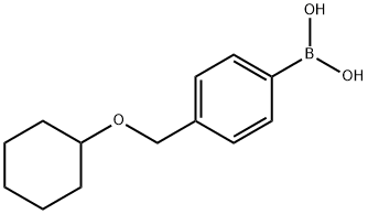 4-(Cyclohexyloxy)Methylphenylboronic acid Struktur