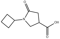 1-cyclobutyl-5-oxopyrrolidine-3-carboxylic acid Struktur