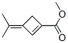 1-Cyclobutene-1-carboxylicacid,3-(1-methylethylidene)-,methylester(9CI) Struktur