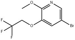 5-broMo-2-Methoxy-3-(2,2,2-trifluoroethoxy)pyridine Struktur