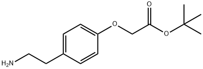 TERT-BUTYL [4-(2-AMINO-ETHYL)-PHENOXY]-ACETATE Struktur