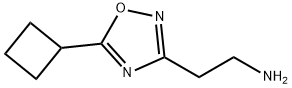 2-(5-cyclobutyl-1,2,4-oxadiazol-3-yl)ethanamine(SALTDATA: HCl) Struktur