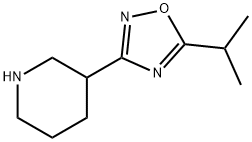 5-Isopropyl-3-(piperidin-3-yl)-1,2,4-oxadiazole Struktur