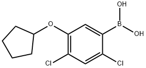 2,4-Dichloro-5-(cyclopentyloxy)phenylboronic acid Struktur