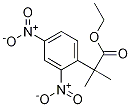 Ethyl 2-(2,4-Dinitrophenyl)-2-Methylpropanoate Struktur