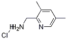 (3,5-diMethylpyridin-2-yl)MethanaMine hydrochloride|(3,5-二甲基吡啶-2-基)甲胺鹽酸鹽