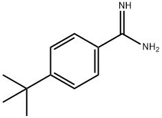 4-TERT-BUTYL-BENZAMIDINE Struktur